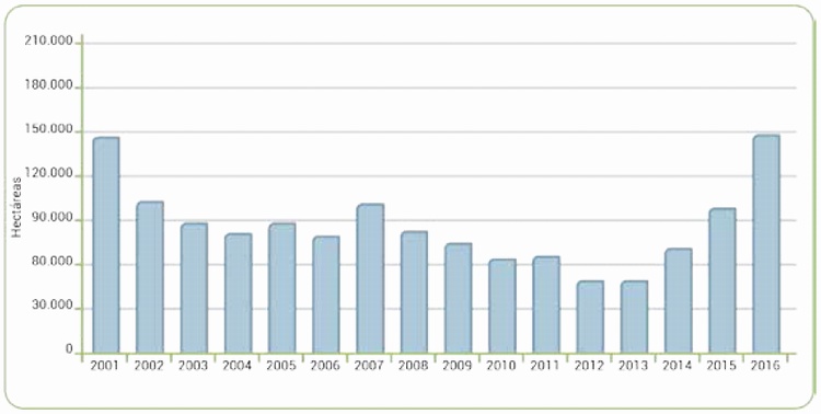 Serie hist�rica de �rea con coca a 31 de Diciembre, 2001 - 2016