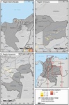 Densidad de cultivos de coca en las regiones de Sierra Nevada, Orinoqu�a y Amazon�a, 2016
