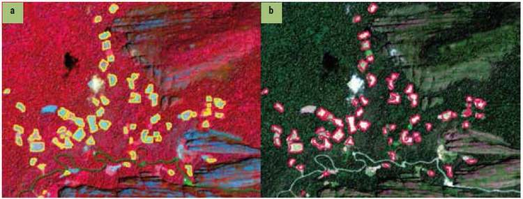 nterpretaci�n visual. Lotes de coca visualmente interpretados en im�genes Sentinel-2