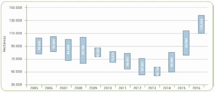 �rea productiva durante el a�o en hect�reas: metodolog�a ajustada, 2005-2016