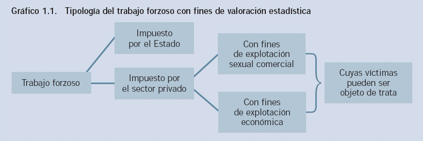 Grafico 1.1